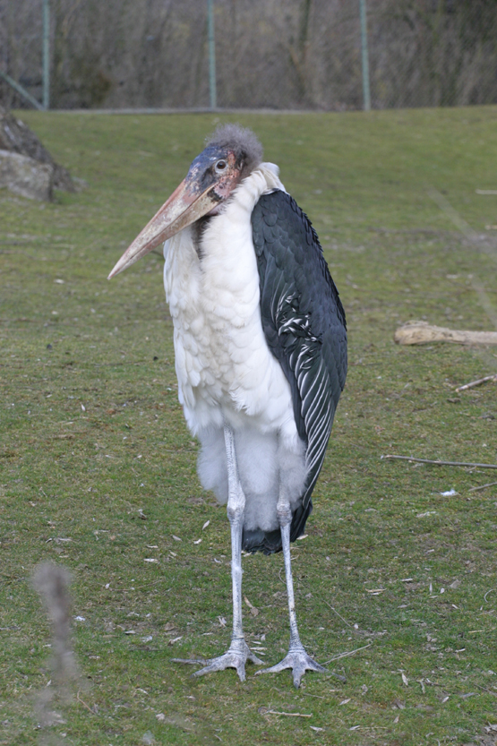 IMG_3468-10D-07-03-29